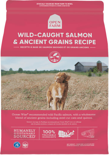 open farm ancient grains dog food