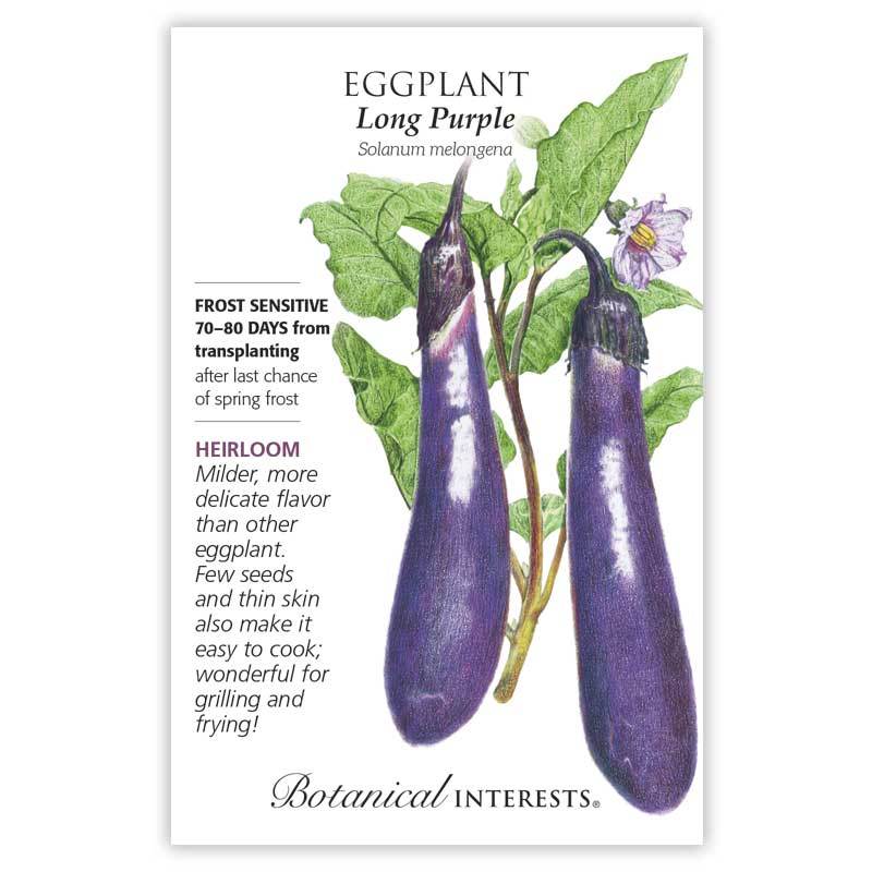 Eggplant Long Purple Country Farm Garden