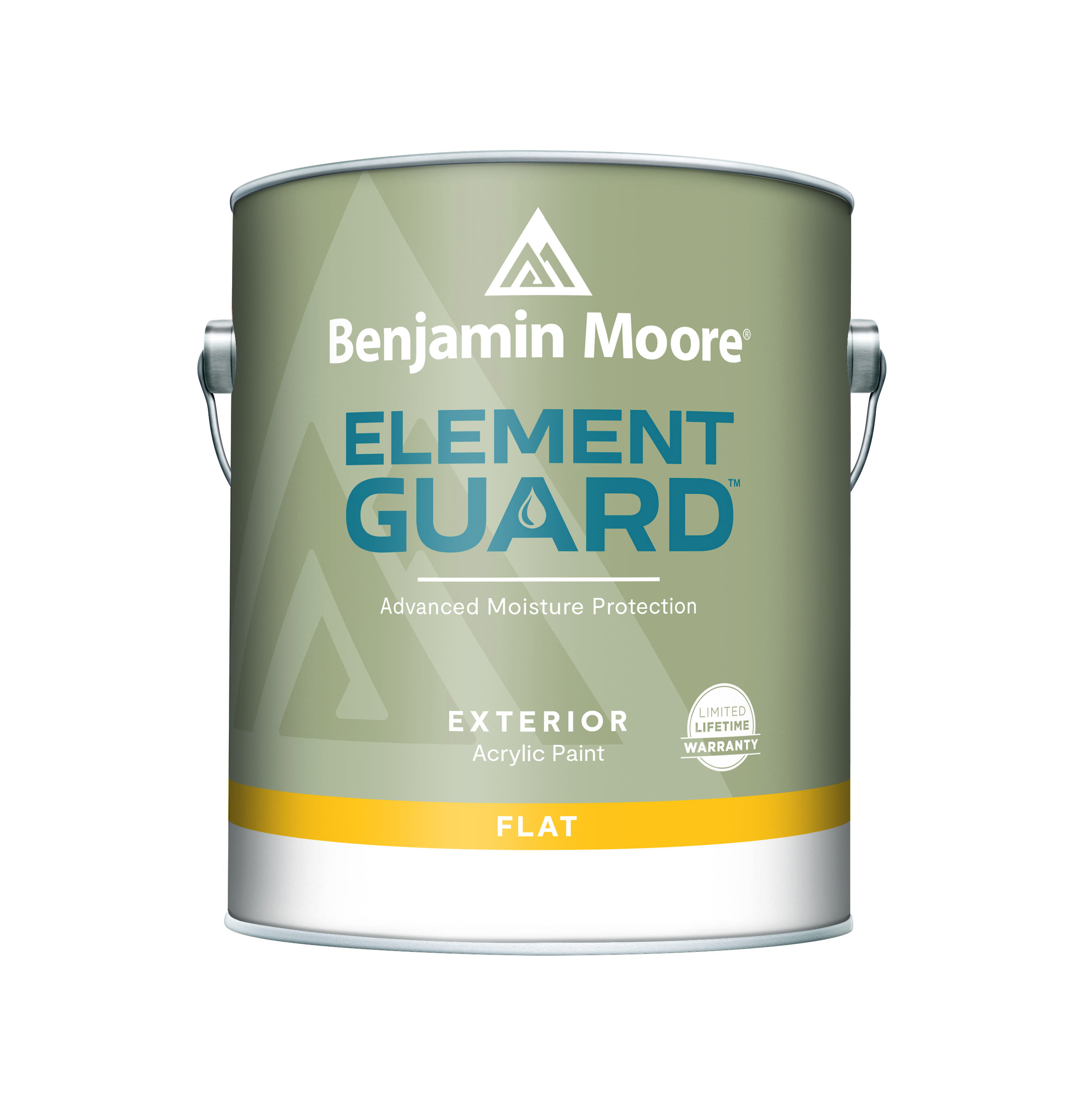 ELEMENT GUARD EXTERIOR PAINT, FLAT, 3X, 1 GALLON