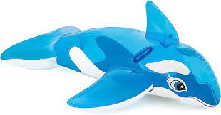 LIL' WHALE RIDE