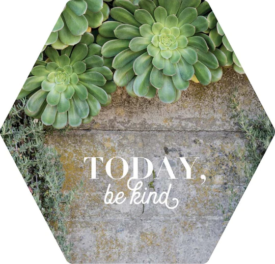 MAGNET - TODAY BE KIND - 4X3.5