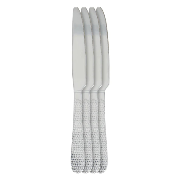 4PC S/S KNIFE SET HAMMERED