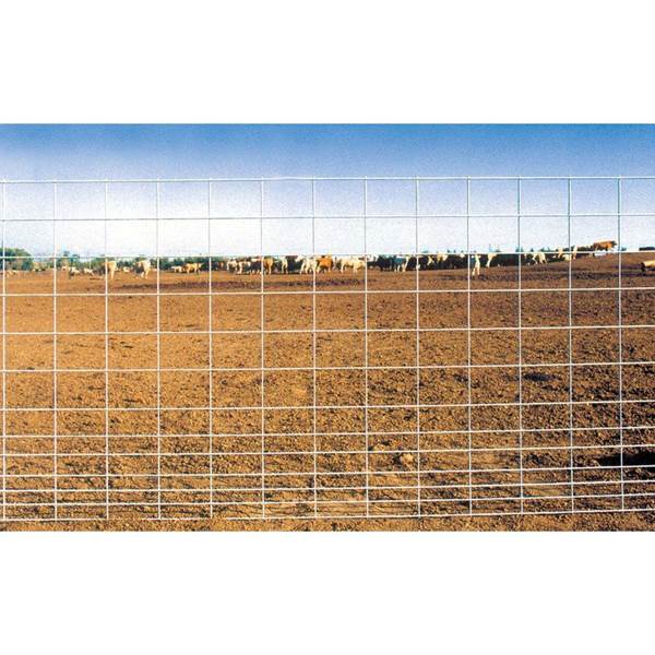 BEH COMBO PANEL 50"X16' 5GA