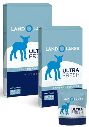 Ultra Fresh Lamb Milk Replacer 25 lb