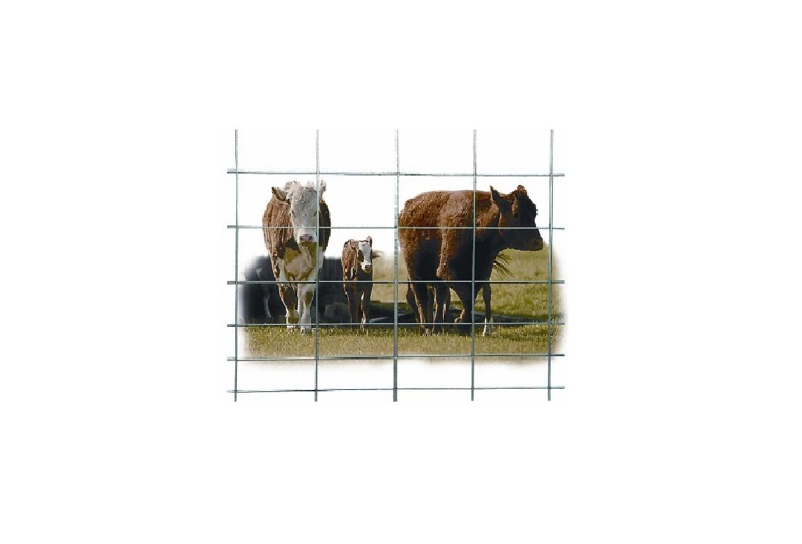 HW CATTLE PANEL 50"X16' 4GA