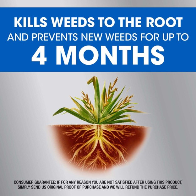 365 Weed & Grass Killer Concentrate 32 oz