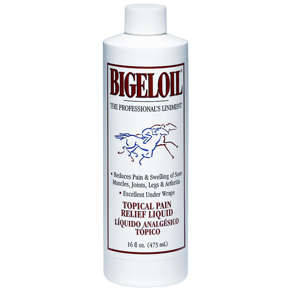 Absornine Bigeloil Liniment Equine Topical Analgesic & Antiseptic 16 oz