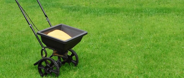 Overseed Lawn Seed 25 lb