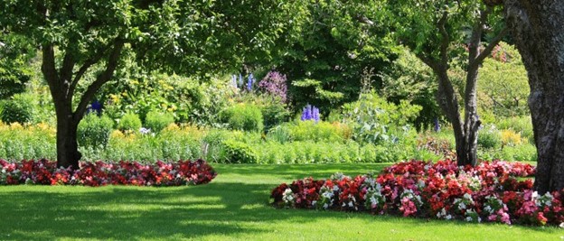 Low Grow Lawn Seed 5 lb