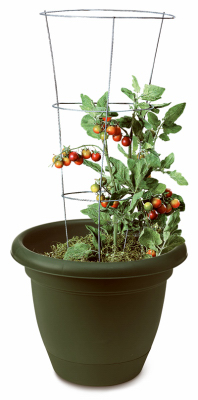 3 Ring Tomato Cage 33"