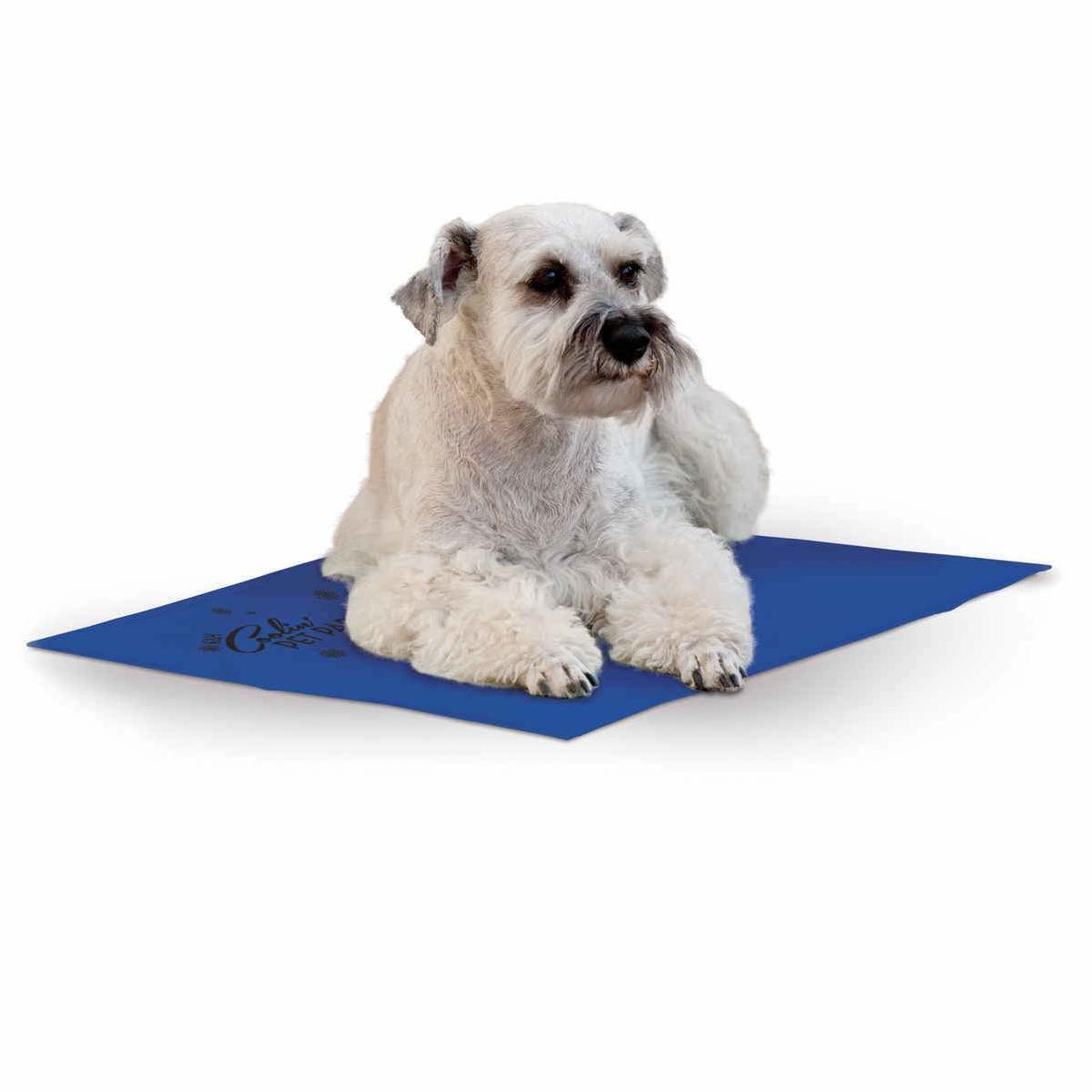 Coolin' Pet Pad Blue Medium