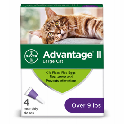 Advantage ll Flea & Lice Control Cat Topical Large Cat over 9 lb | 4 Pack