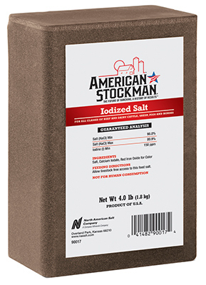 Iodized Salt Brick 4 lb
