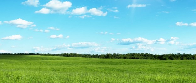 Jumpstart Pasture Mix 25 lb