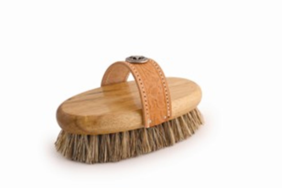 Harvester Western-Style with Strap Equine Heavy Duty Grooming Brush