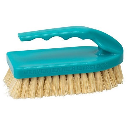 Tampico Pig Brush with Handle Plastic Teal