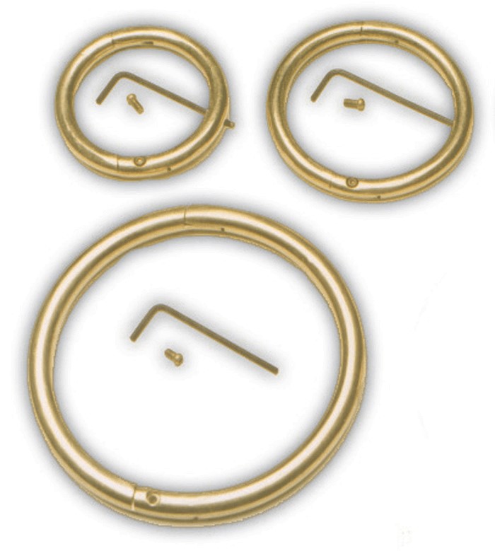 Bull Ring Brass 3" X 5/16"