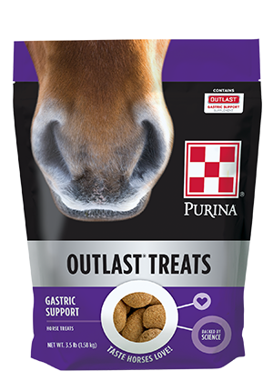 Animal Nutrition Outlast Horse Treats 3.5 lb