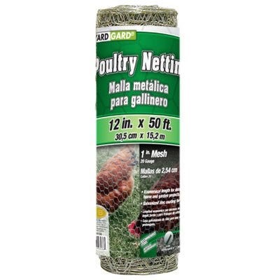 Poultry Netting 20G Galvanized 1" Mesh 12" x 50'