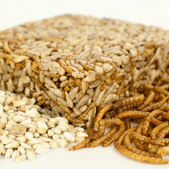 Poultry Mealworm & Sunflower Squares 6.5 oz