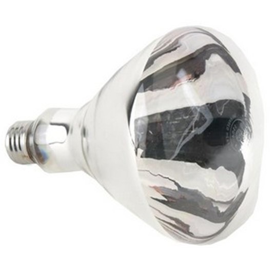 Heat Lamp Bulb Clear 250 W