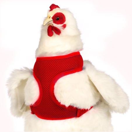 Mesh Chicken Harness Hen Red