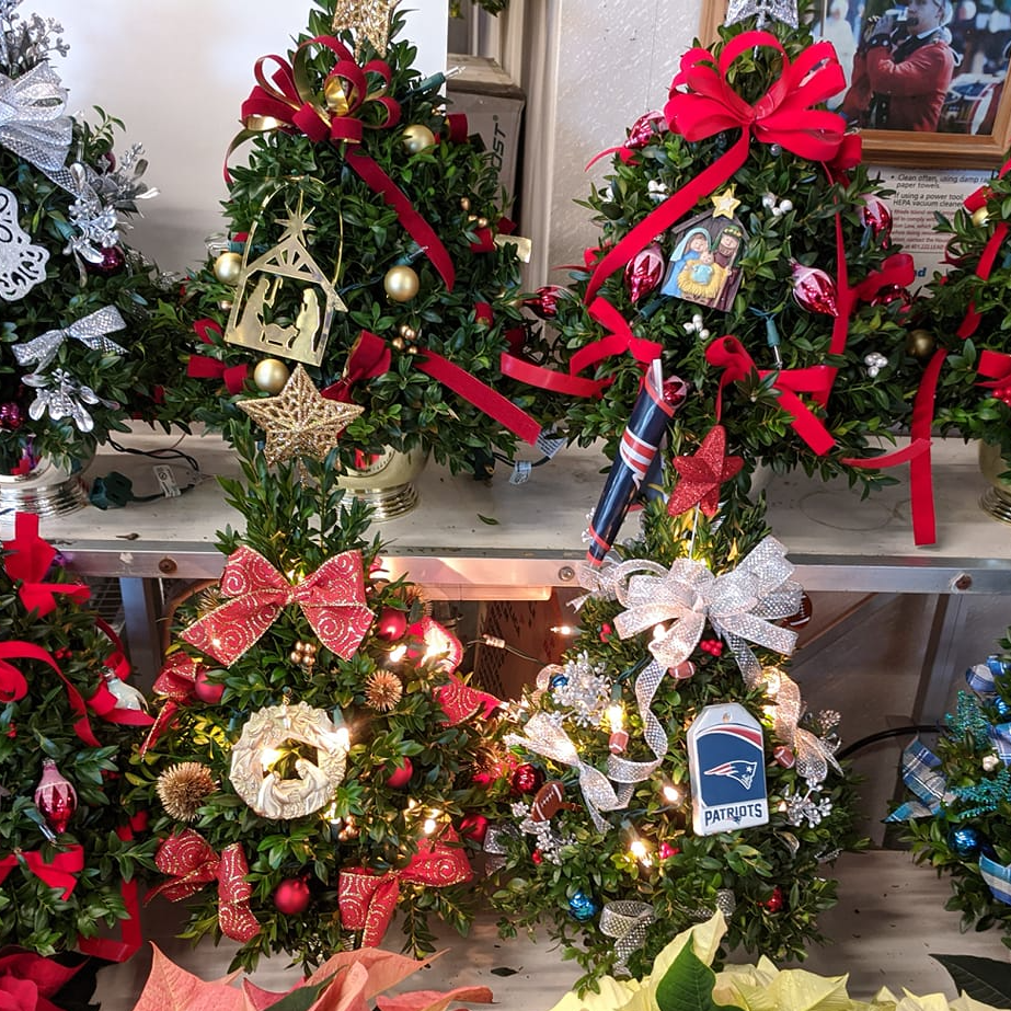 Holiday decorated boxwood trees