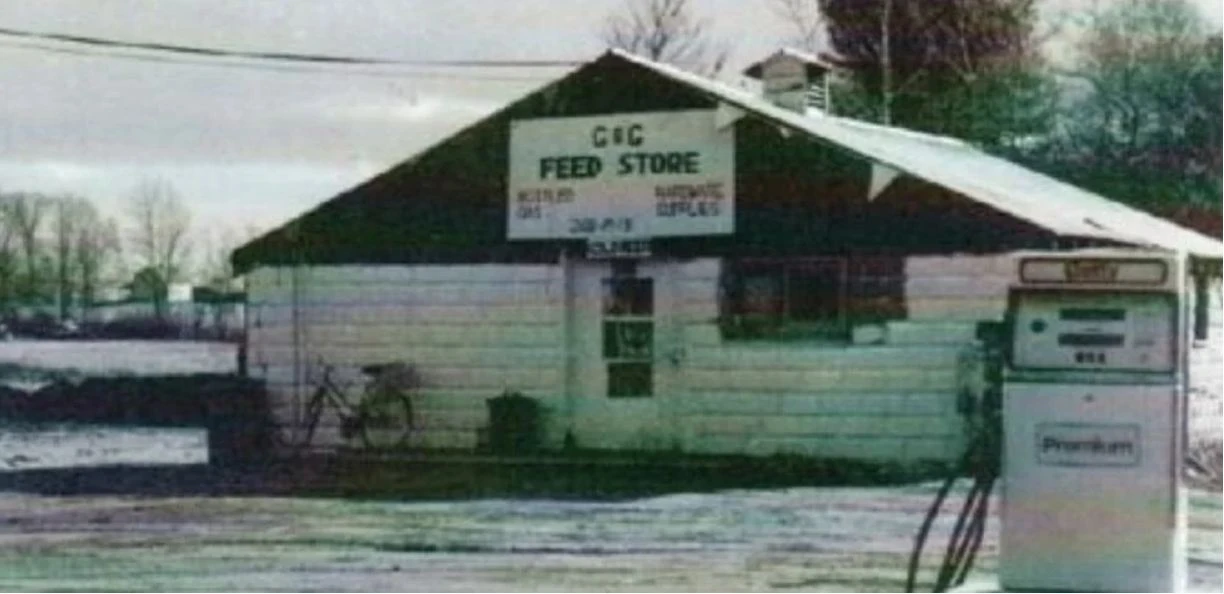 Image Gallery