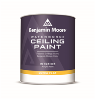 waterborne ceiling paint
