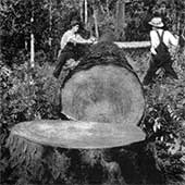 Early sawmill work