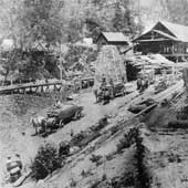 Early lumber yard site