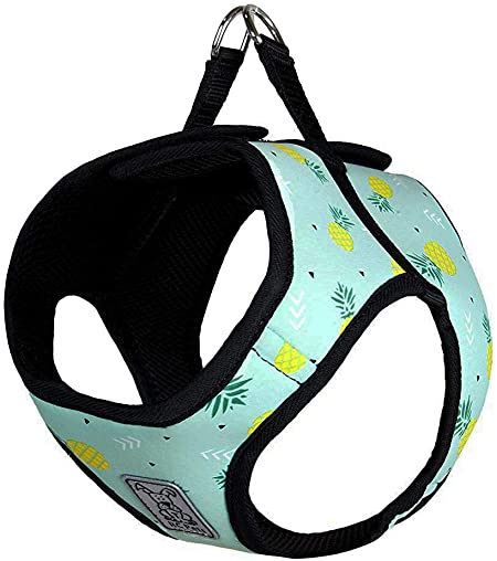 RC Pet Products Cirque Soft Walking Step In Dog Harness 