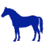 Equine