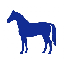 Equine