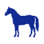 Equine