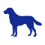 Pet Food
