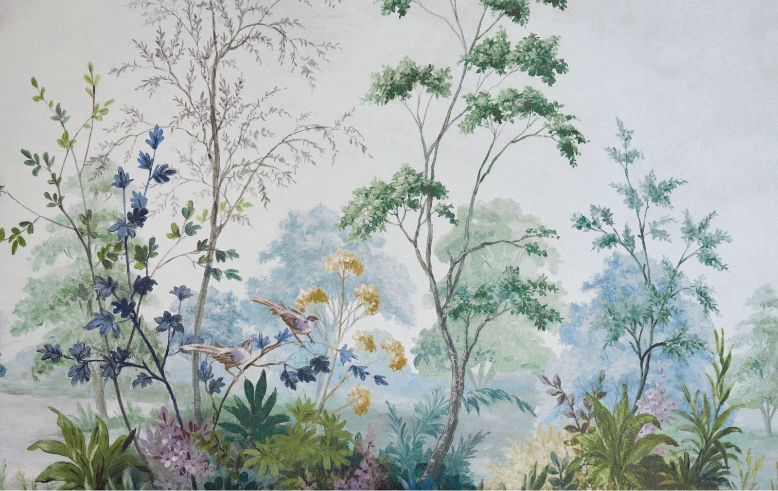 Image Gallery
