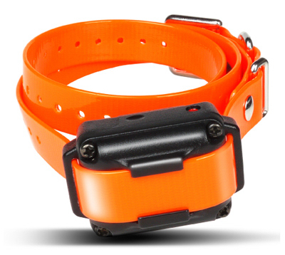 iq plus dog training collar