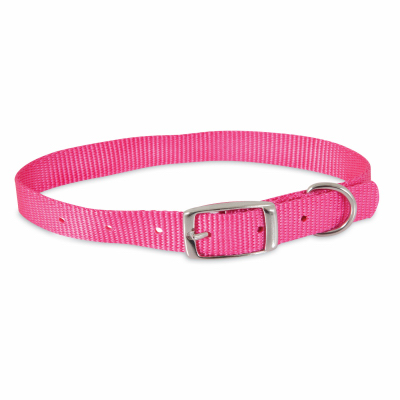 Petmate dog shop collars