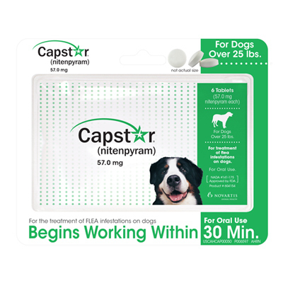 Capguard for shop dogs