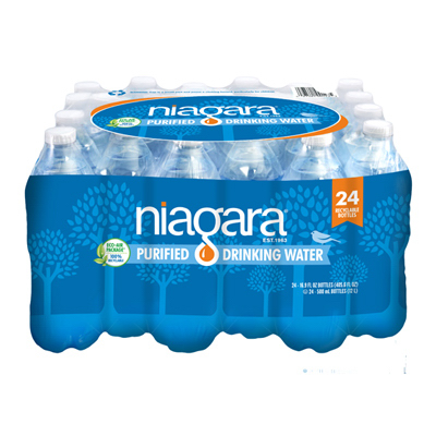 Niagara 32-Pack 16.9-fl oz Purified Bottled Water in the Water