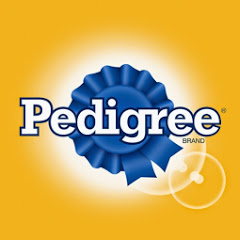 Pedigree