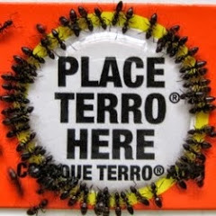 Terro