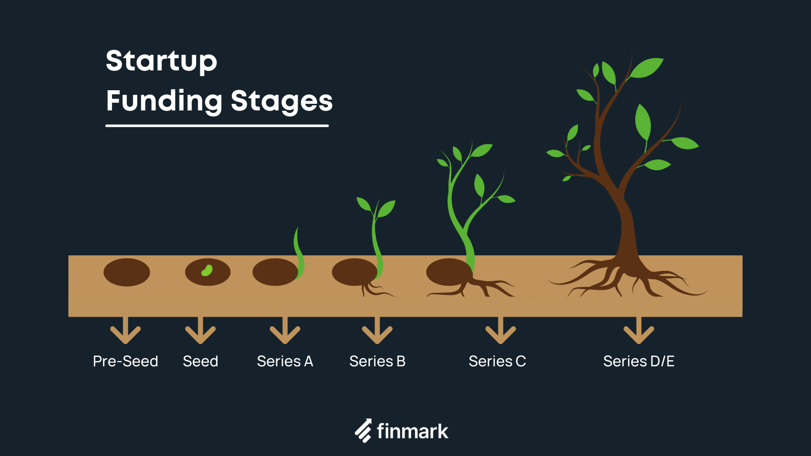 What You Need to Know About Seed Rounds of Fundraising