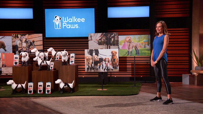 The Businesses and Products from Season 12, Episode 15 of Shark Tank