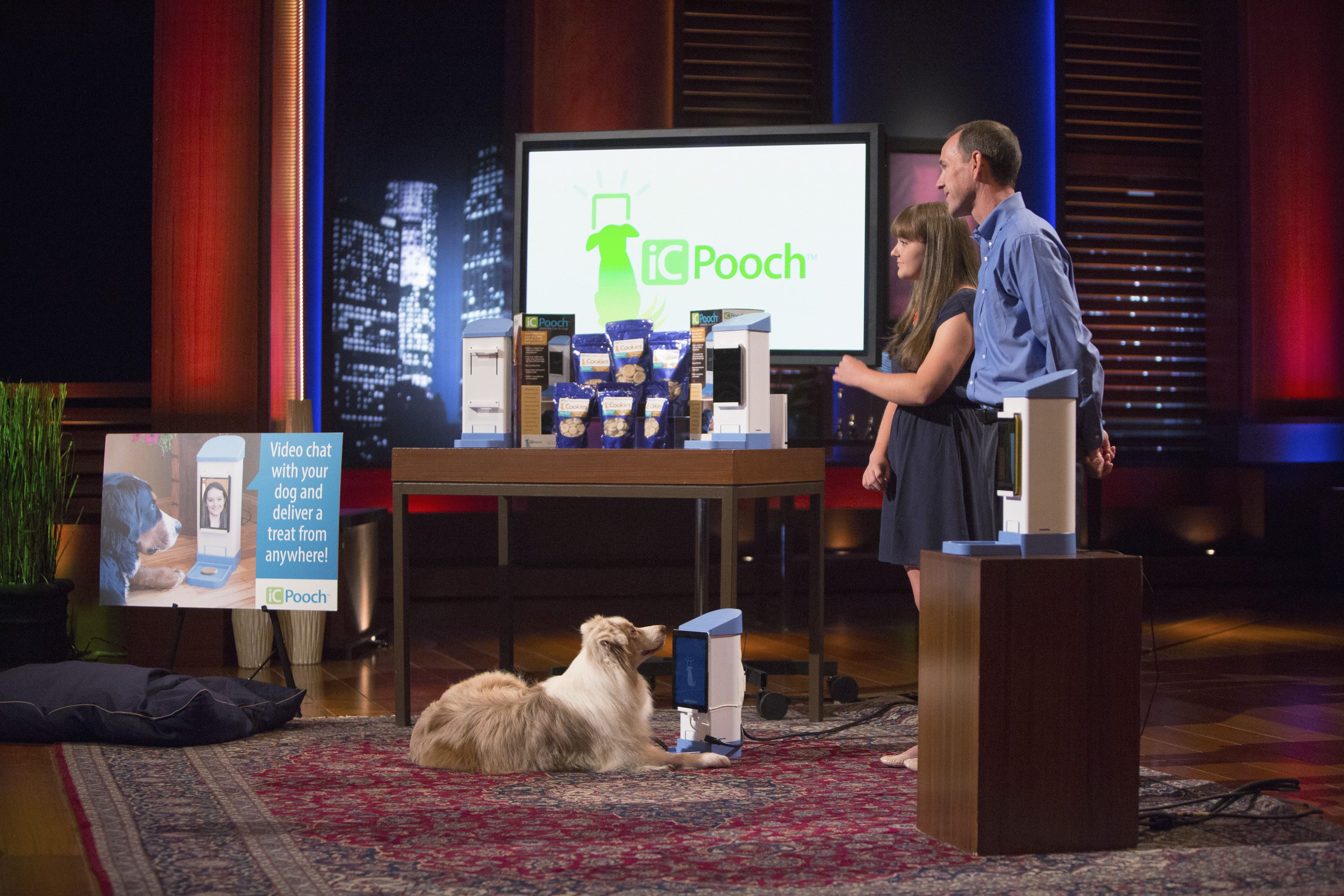 iCPooch - A Success Story Since Their Shark Tank Appearance