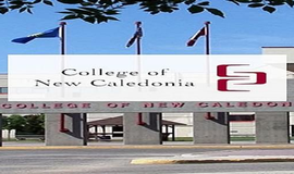 The College of New Caledonia: A Great Choice For Any Student