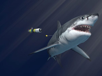 Codi's Glub: A robotic fish designed to scare away sharks