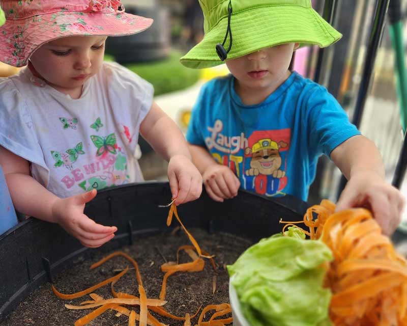 Two children stand behind a worm farm distributing grated carrot and lettuce to feed the worms.