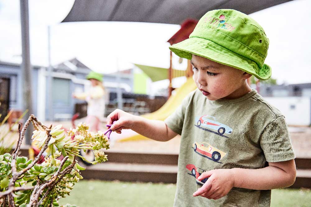  A child explore's and plays with a plant with their curiosity is peeked while looking for insects and worms at Petit Early Learning Journey.